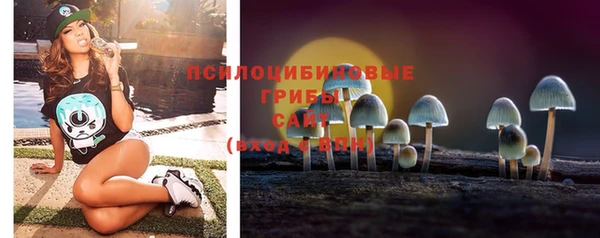 эйфоретик Абинск
