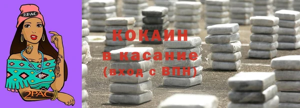 индика Абаза