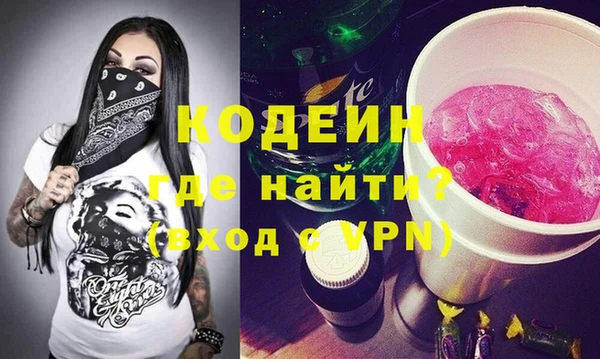 индика Абаза