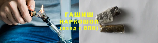 индика Абаза