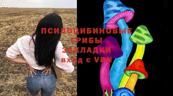 шишки Абдулино