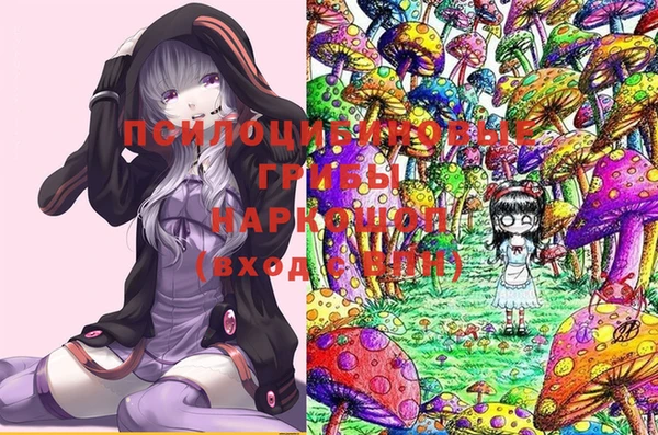 бутират Алексеевка