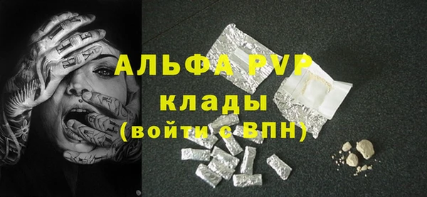 индика Абаза