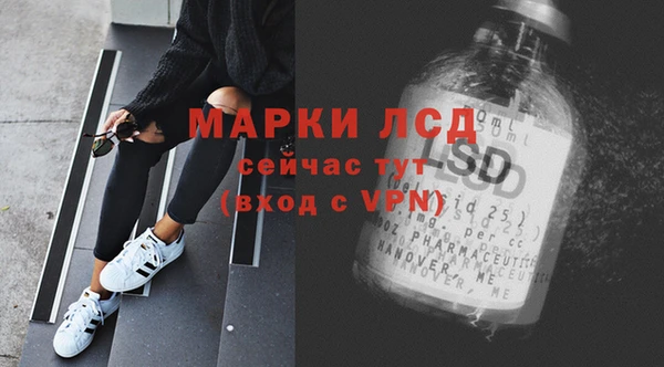 индика Абаза