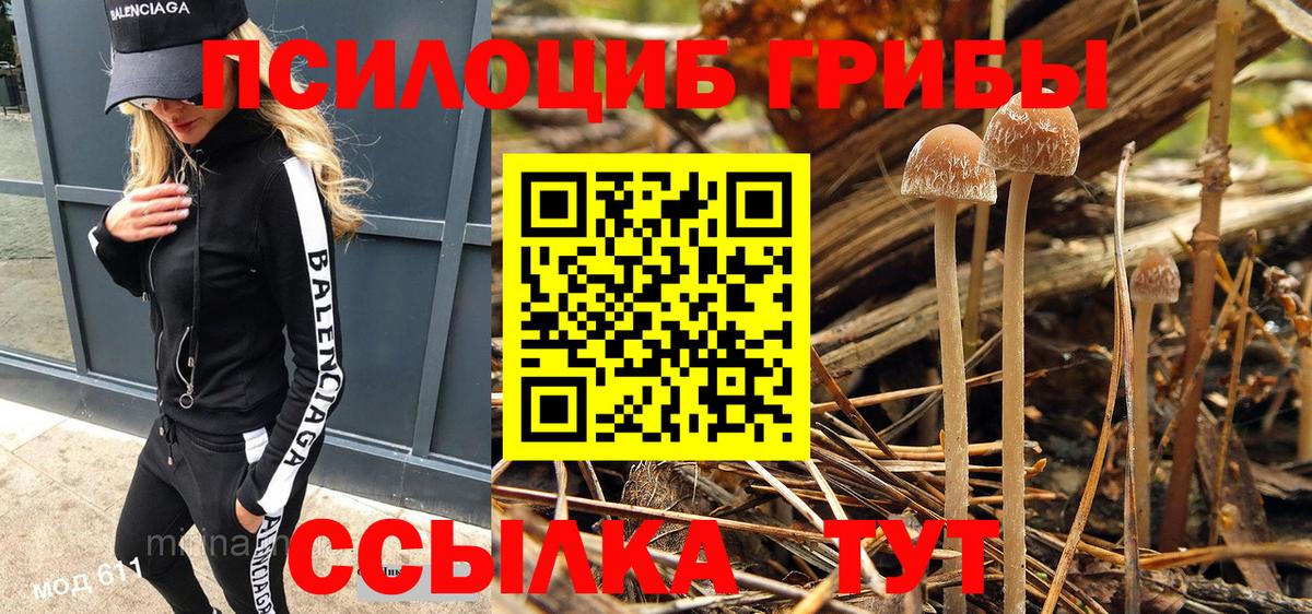 Прохладный  Галлюциногенные грибы Psilocybe  Галлюциногенные грибы GOLDEN TEACHER  Вход с VPN 