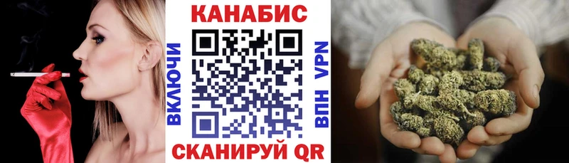 Каннабис сатива  Прохладный 